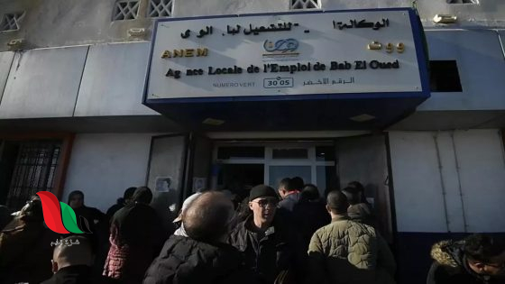 شروط منحة البطالة 2026 في الجزائر