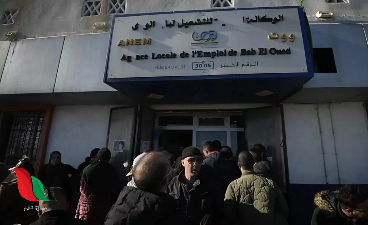 شروط منحة البطالة 2026 في الجزائر