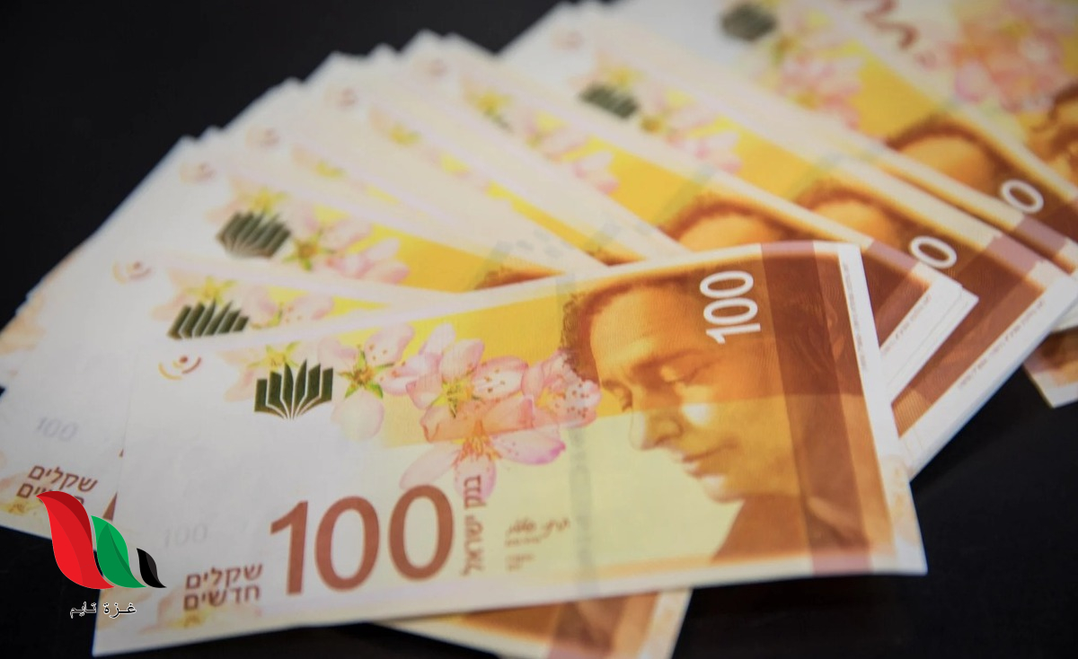 500 شيكل بانتظارك: وزارة التنمية الاجتماعية تدعو المواطنين لتحديث بياناتهم