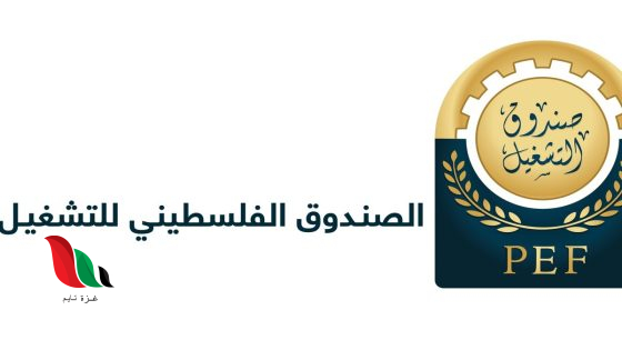 رابط تسجيل وتحديث بيانات الباحثين عن العمل في غزة عبر PEF