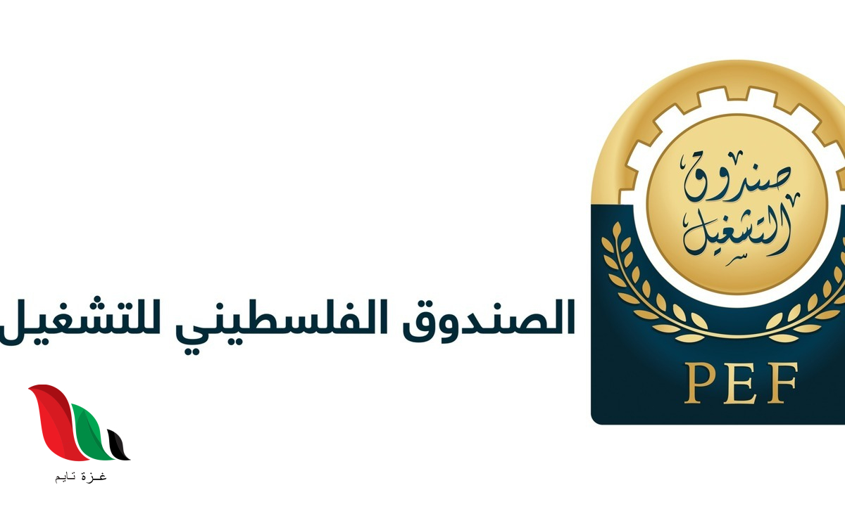 رابط تسجيل وتحديث بيانات الباحثين عن العمل في غزة عبر PEF