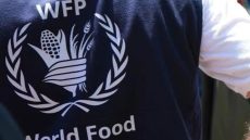WFP يعلن عن وظيفة شاغرة بغزة: مطلوب مساعد خدمات إدارية (L6)
