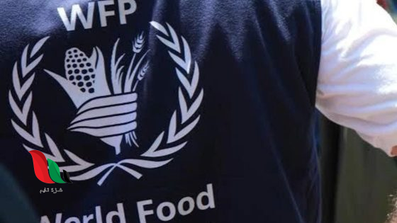 WFP يعلن عن وظيفة شاغرة بغزة: مطلوب مساعد خدمات إدارية (L6)