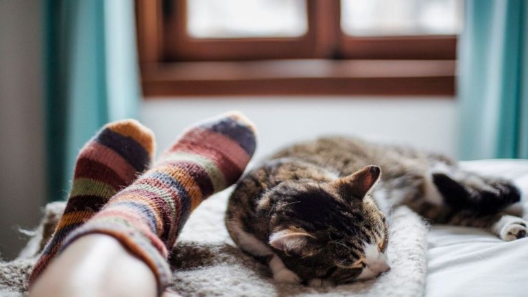 ارتداء الجوارب.. هل يحسن جودة النوم شتاءً؟
