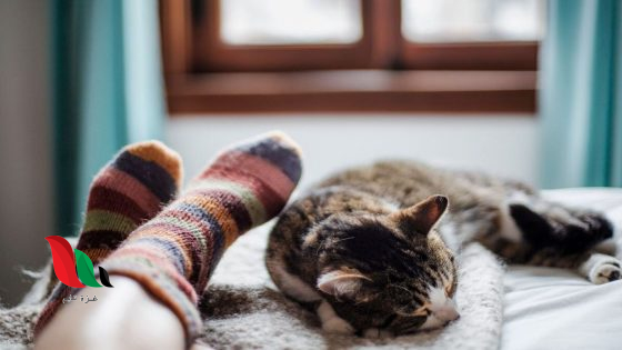 ارتداء الجوارب.. هل يحسن جودة النوم شتاءً؟