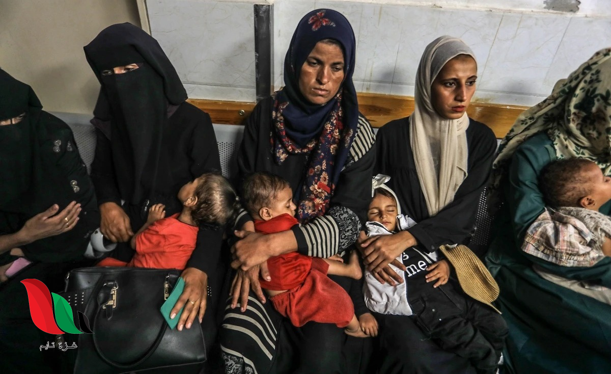 اليونيسف تبدأ صرف مساعدات نقدية للحوامل والمرضعات عبر جوال باي