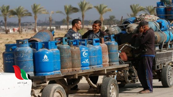 تحديث بيانات طلب الغاز شرط أساسي لاستلام أسطوانة الغاز في غزة