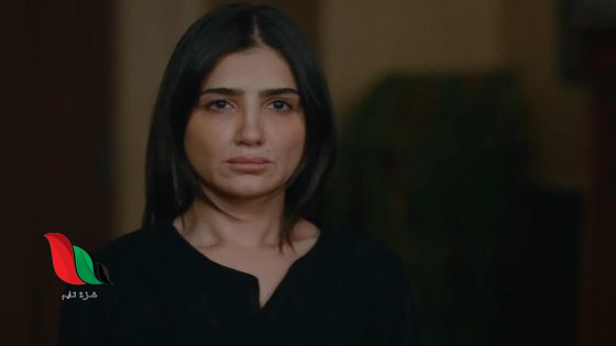 شاهد حلقات مسلسل الست موناليزا telegram في رمضان 2026