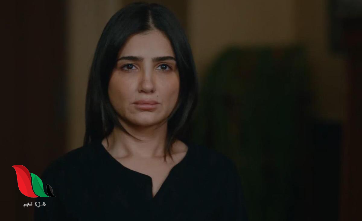 شاهد حلقات مسلسل الست موناليزا telegram في رمضان 2026