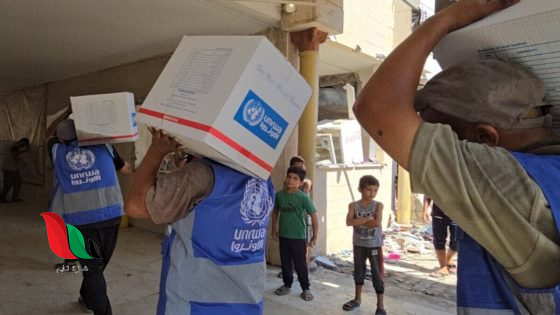 الأونروا تستأنف توزيع الكابونة الجديدة للأسر غير المستفيدة في غزة