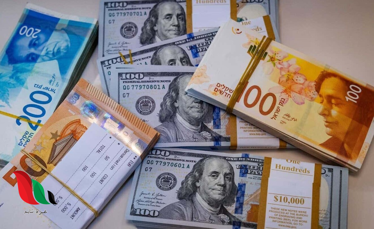 مساعدات مالية وطرود غذائية في غزة.. جمعية أبرار تفتح باب التسجيل