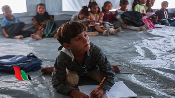 مشروع “منارة” ينطلق في غزة لدعم الأطفال نفسيًا وتعليميًا.. التسجيل متاح الآن