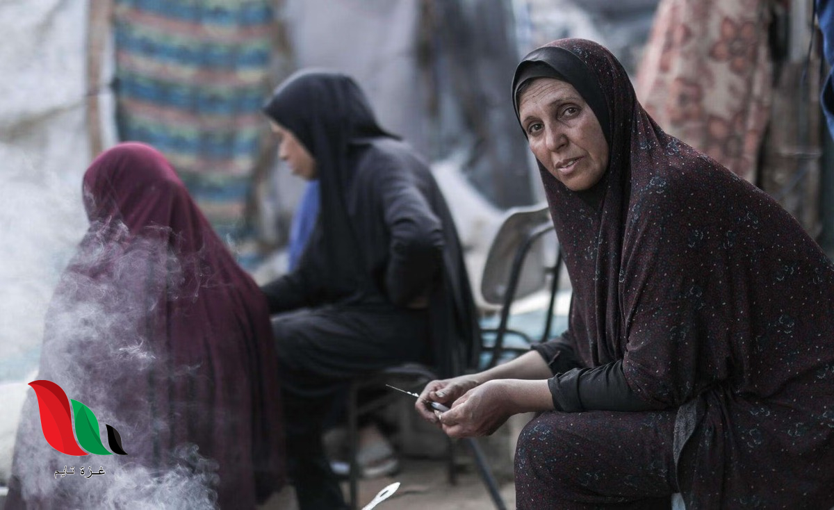 منحة 1270 شيكل للنساء والفتيات في غزة.. خطوات التسجيل والتحديث