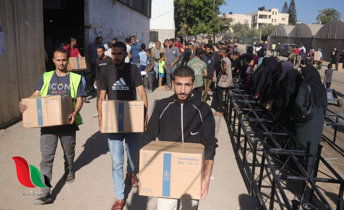 نداء عاجل من برنامج الغذاء العالمي لسكان غزة: حدّث بياناتك فوراً