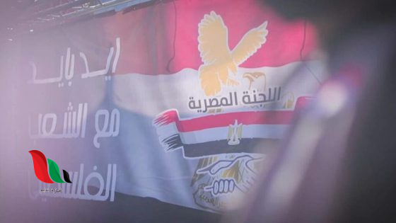 حزمة إيواء من اللجنة المصرية للمتزوجين الجدد والمقبلين على الزواج بغزة