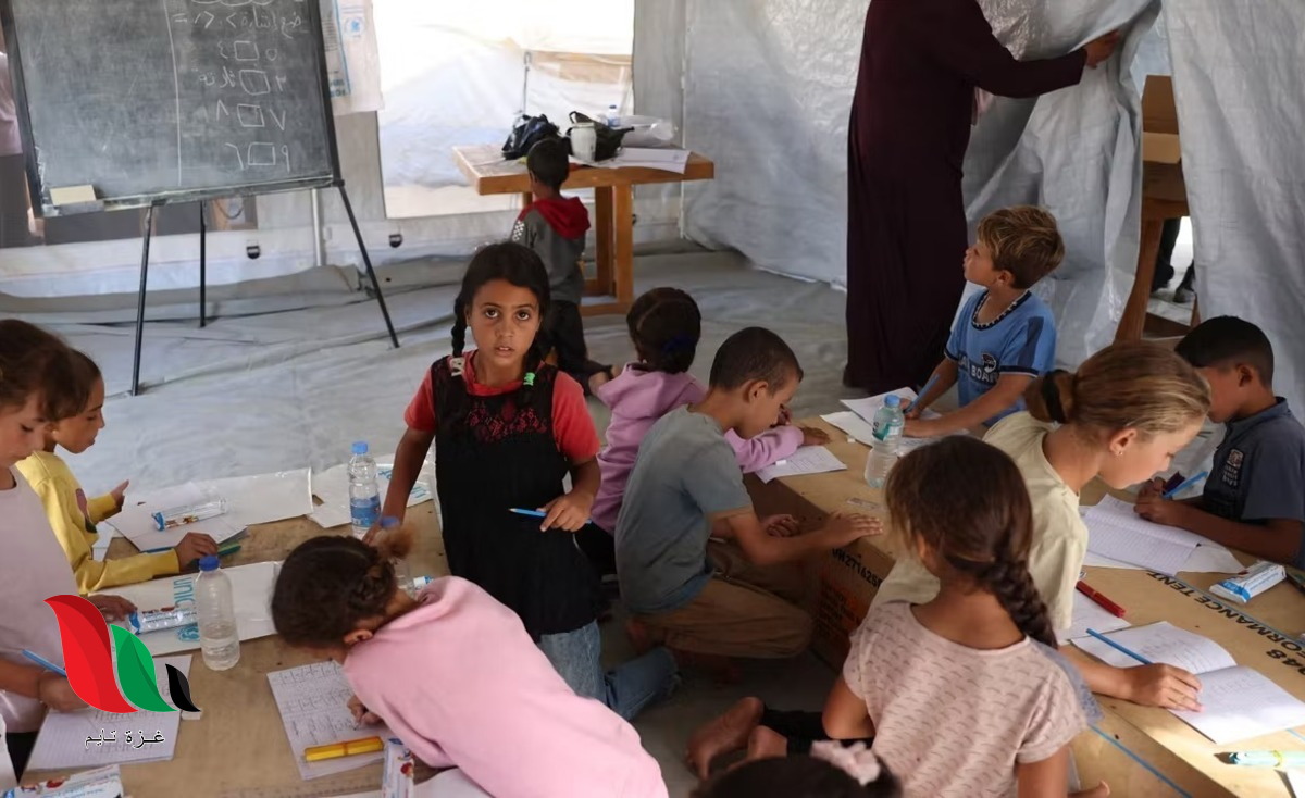 فرصة أخيرة في غزة: فتح التسجيل للطلبة المنقطعين عن الدراسة