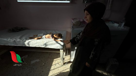 مسؤولة أممية تحذر من انتشار الأمراض في غزة: خطر عابر للحدود