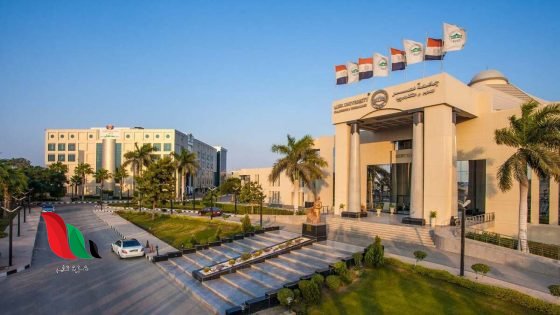 رابط موقع التنسيق الإلكتروني 2026: خطوات تسجيل رغبات الكليات والمعاهد