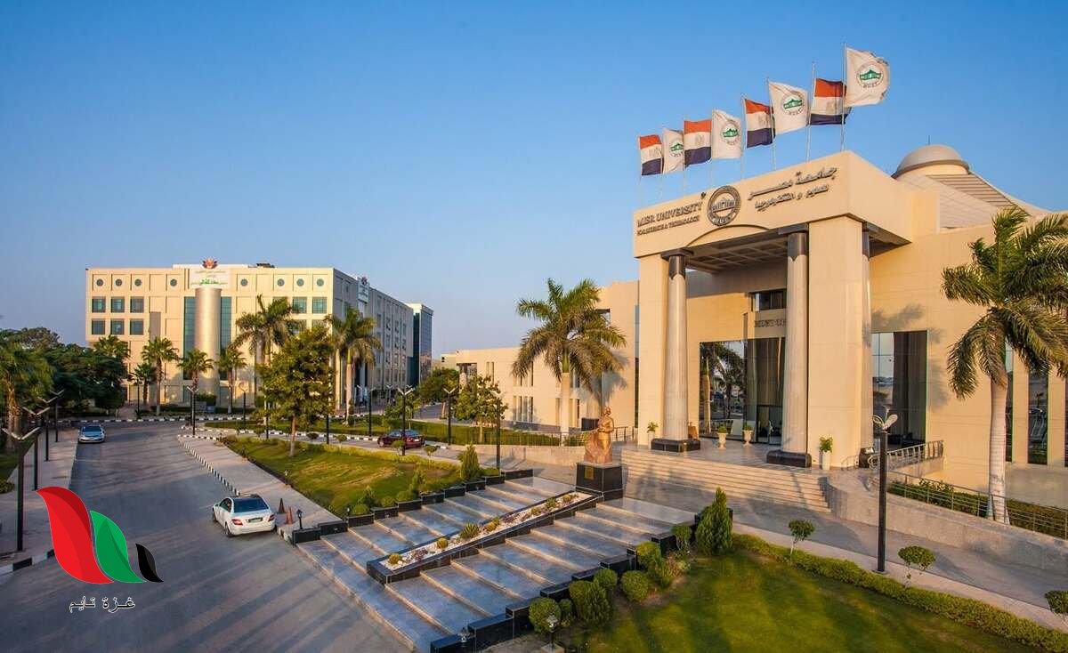 رابط موقع التنسيق الإلكتروني 2026: خطوات تسجيل رغبات الكليات والمعاهد
