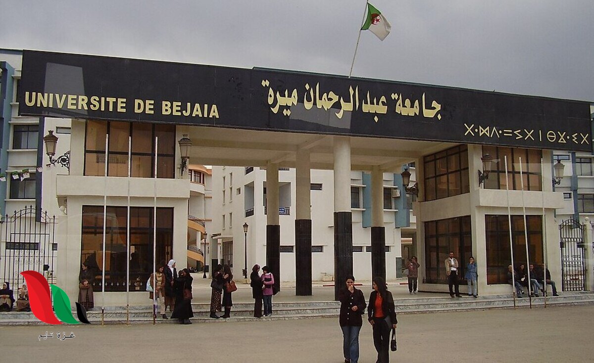 رابط التسجيل في منحة البطالة بالجزائر 2026 وشروط الاستفادة الجديدة للمقبولين