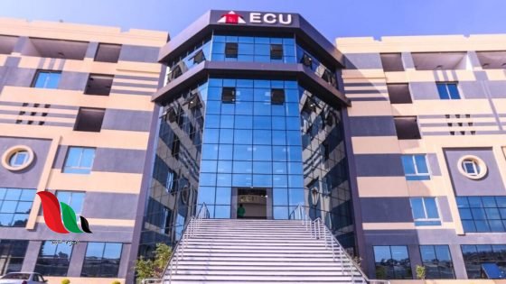 مصاريف الجامعة الصينية في مصر 2026: كليات الهندسة والعلاج الطبيعي