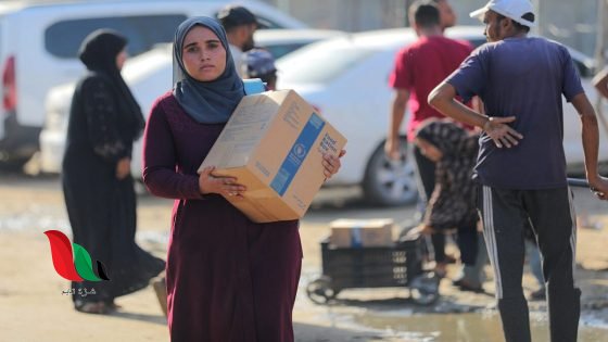بيان مهم من الغذاء العالمي بشأن بيانات المستفيدين من المساعدات في غزة