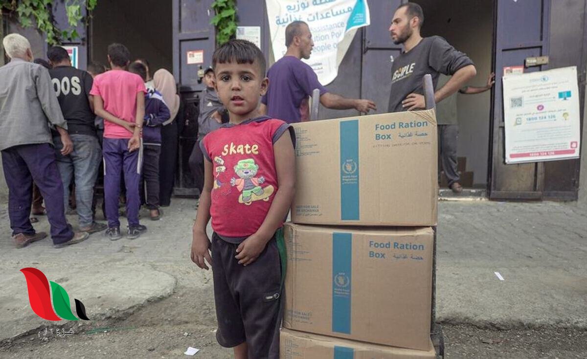 تحديث جديد بشأن مساعدات برنامج الأغذية العالمي.. هل يجب على المستفيدين تحديث بياناتهم؟