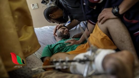 رابط تسجيل وتحديث بيانات المرضى والجرحى الفلسطينيين في مصر 2026
