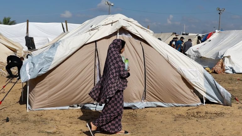 وظائف باحثين ميدانيين في غزة.. شركة ألفا الدولية تعلن عن فرص عمل جديدة