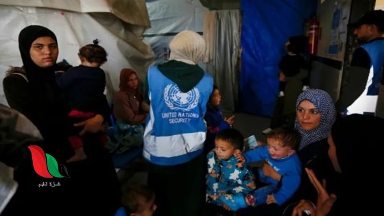 للمواطنين واللاجئين في غزة.. كيف تسجل زوجتك الحامل عبر رابط الأونروا؟