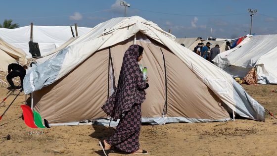وظائف باحثين ميدانيين في غزة.. شركة ألفا الدولية تعلن عن فرص عمل جديدة