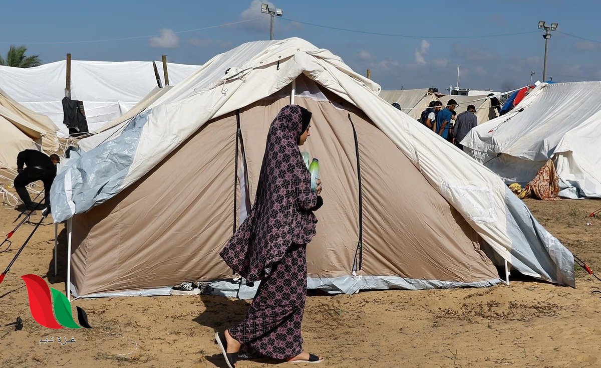 وظائف باحثين ميدانيين في غزة.. شركة ألفا الدولية تعلن عن فرص عمل جديدة