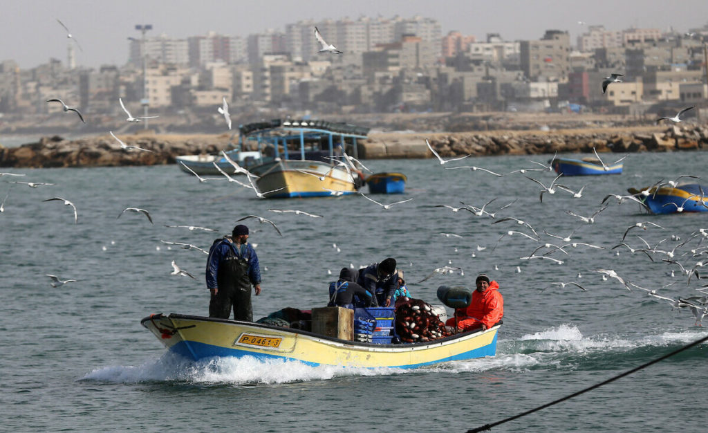 150115 YQ 00 6 - غزة تايم - Gaza Time