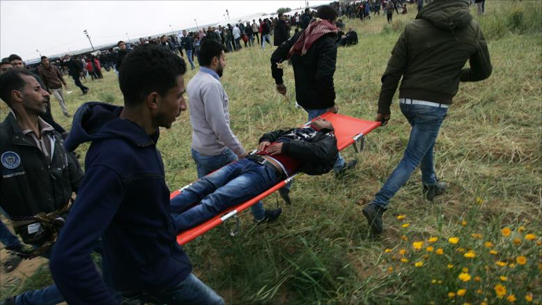 cc167e9e 54c7 469e 816f 4582ce7cc92e 2 - غزة تايم - Gaza Time