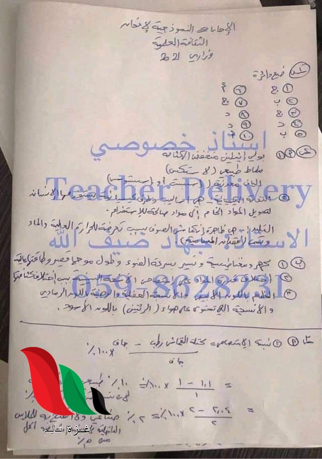 01 13 - غزة تايم - Gaza Time