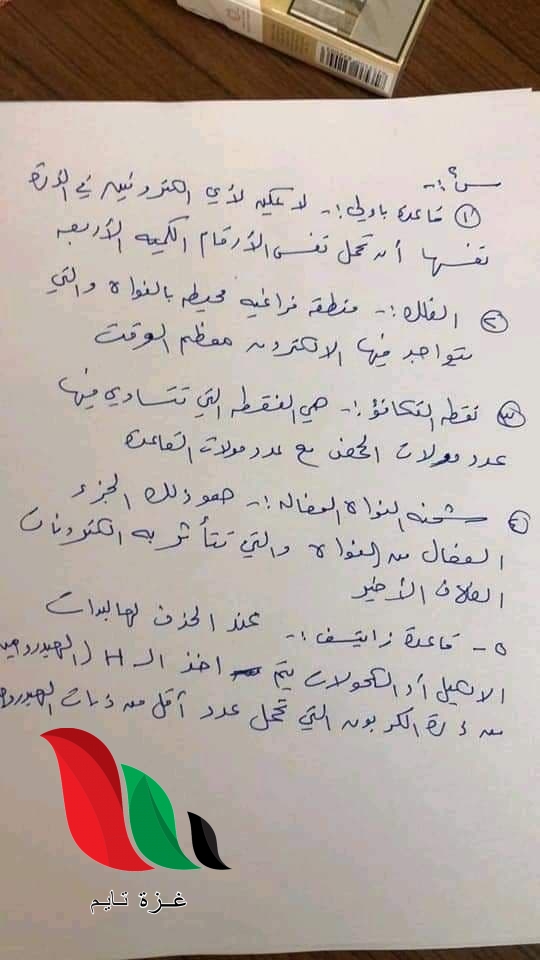 01 11 - غزة تايم - Gaza Time