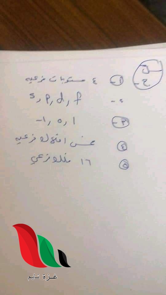 010 - غزة تايم - Gaza Time