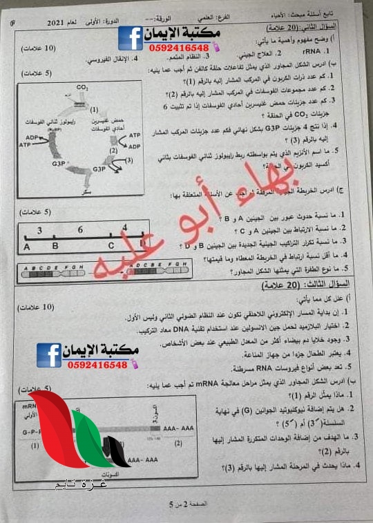 013 5 - غزة تايم - Gaza Time