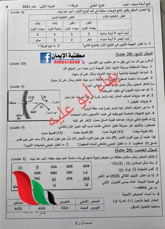 014 5 - غزة تايم - Gaza Time