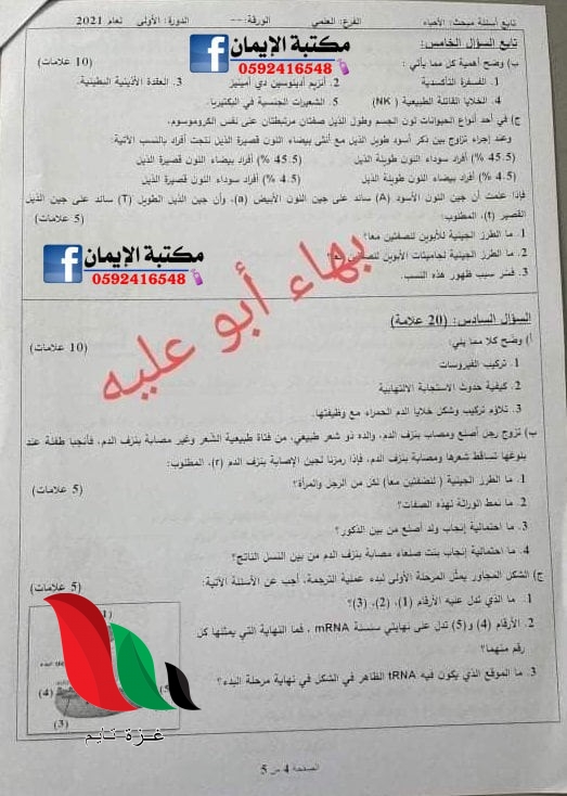015 3 - غزة تايم - Gaza Time
