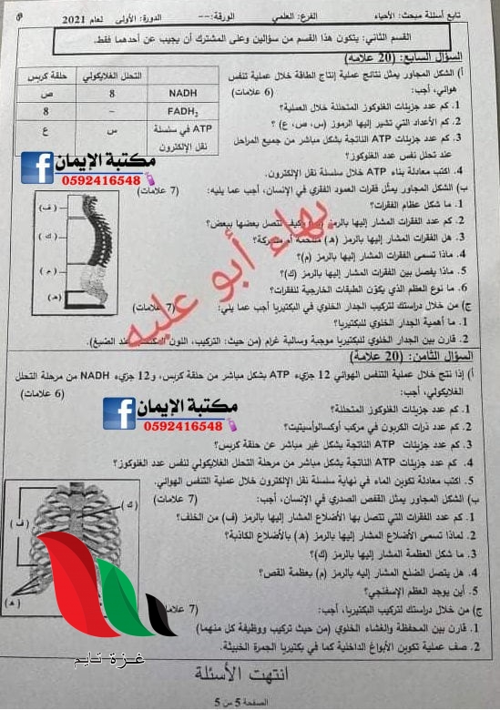 016 2 - غزة تايم - Gaza Time