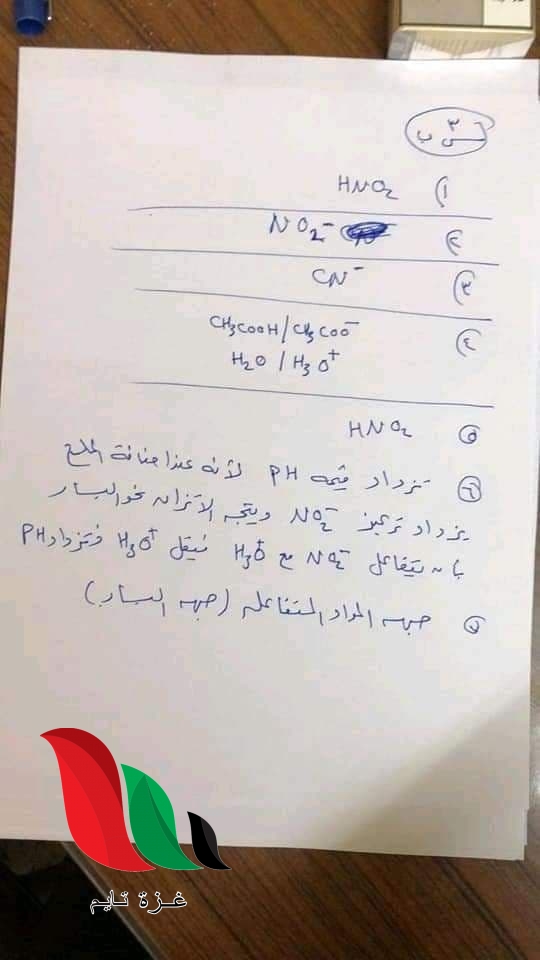 04 9 - غزة تايم - Gaza Time