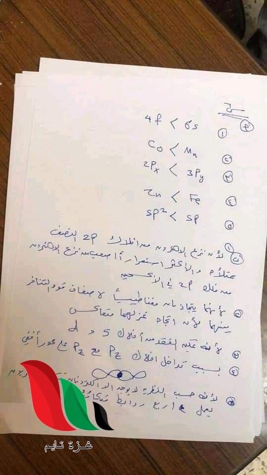 09 - غزة تايم - Gaza Time